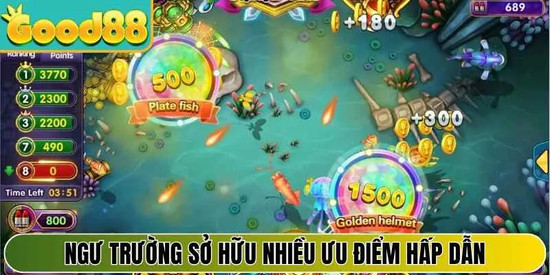 Ngư trường sở hữu nhiều ưu điểm hấp dẫn