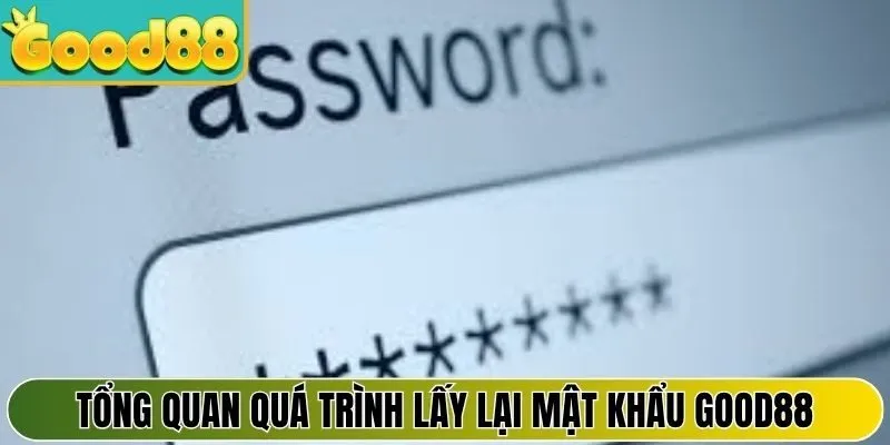 Tổng quan về quá trình lấy lại mật khẩu Good88