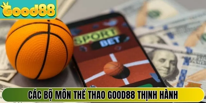 Các bộ môn thể thao thịnh hành trong nhà cái ngày nay