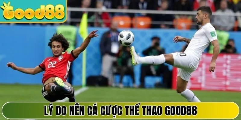 Lý do nên tham gia cá cược thể thao Good88 ngày nay